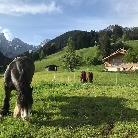 Au Pre Des Chevaux Bed & Breakfast Chateau-d'Oex Bagian luar foto