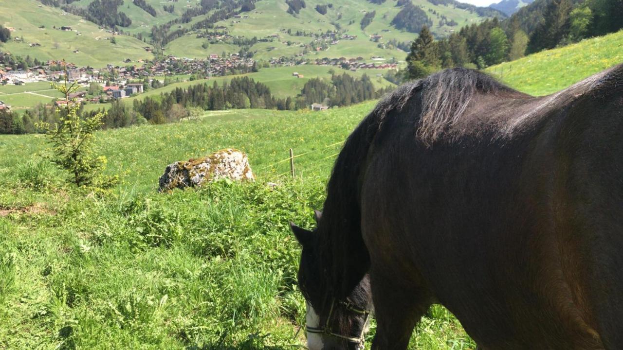 Au Pre Des Chevaux Bed & Breakfast Chateau-d'Oex Bagian luar foto