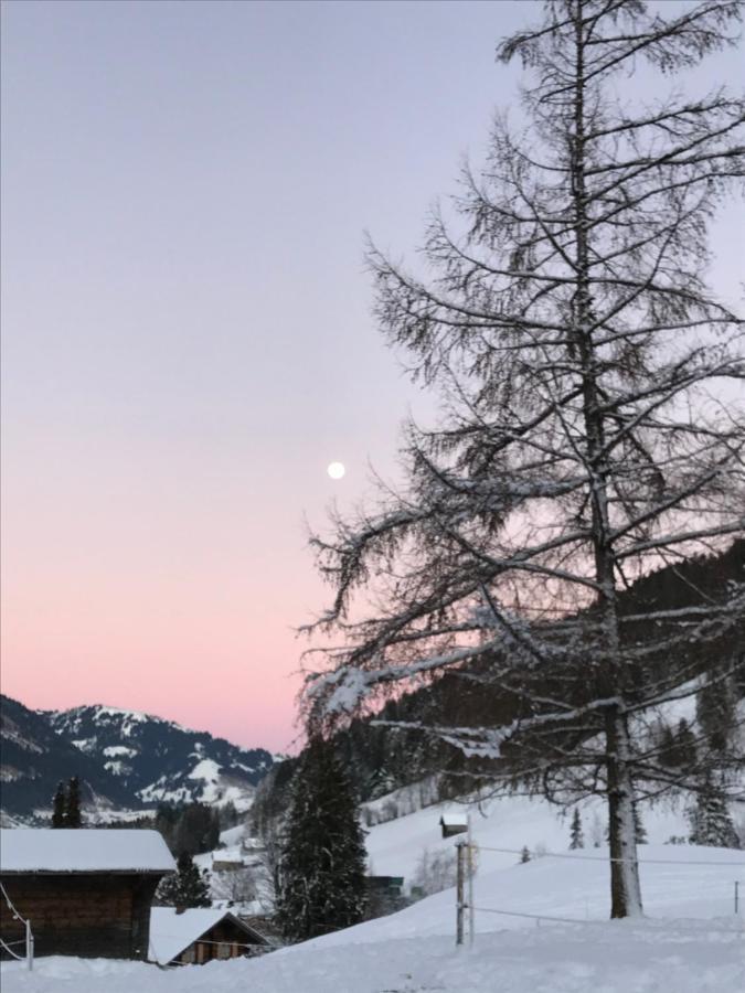 Au Pre Des Chevaux Bed & Breakfast Chateau-d'Oex Bagian luar foto