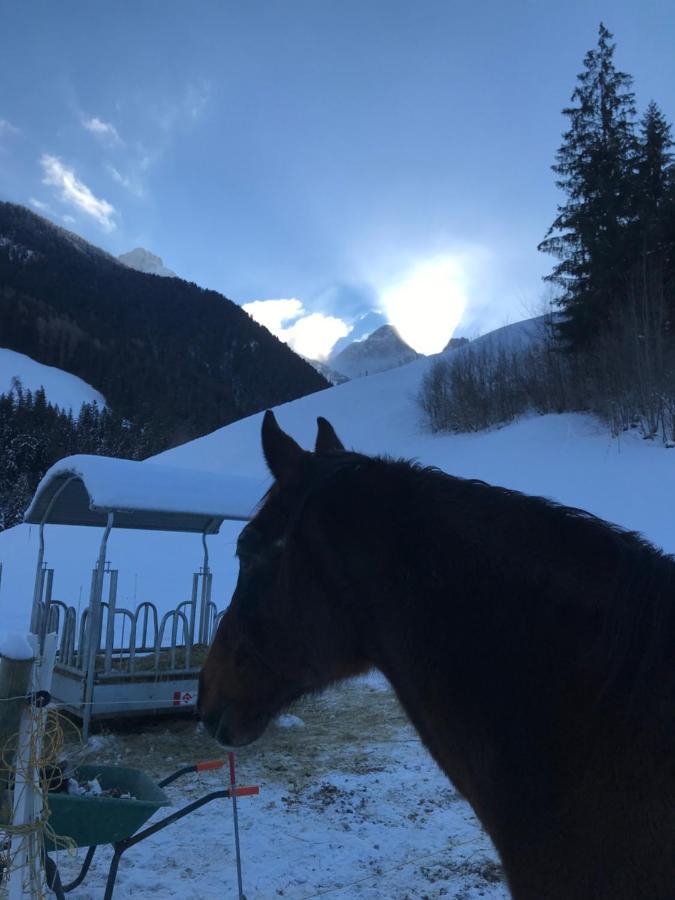 Au Pre Des Chevaux Bed & Breakfast Chateau-d'Oex Bagian luar foto