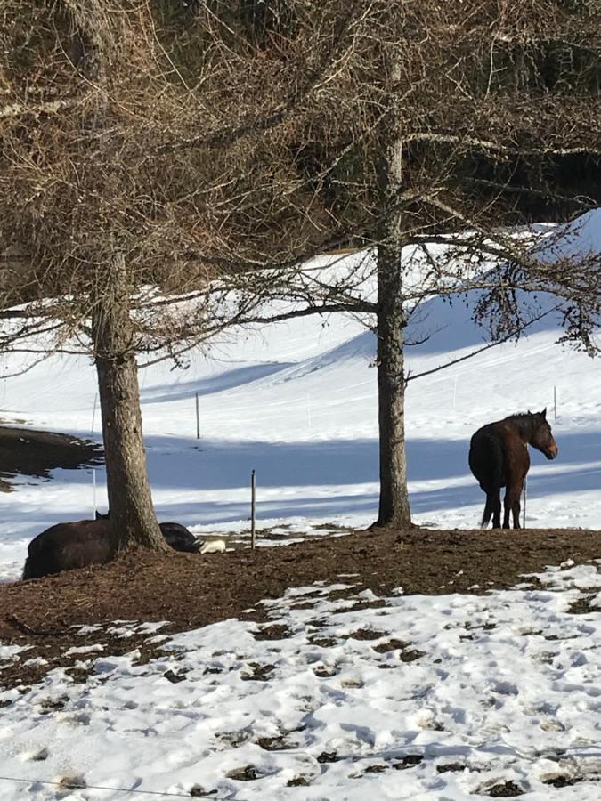 Au Pre Des Chevaux Bed & Breakfast Chateau-d'Oex Bagian luar foto