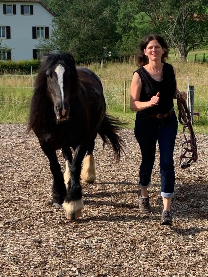 Au Pre Des Chevaux Bed & Breakfast Chateau-d'Oex Bagian luar foto