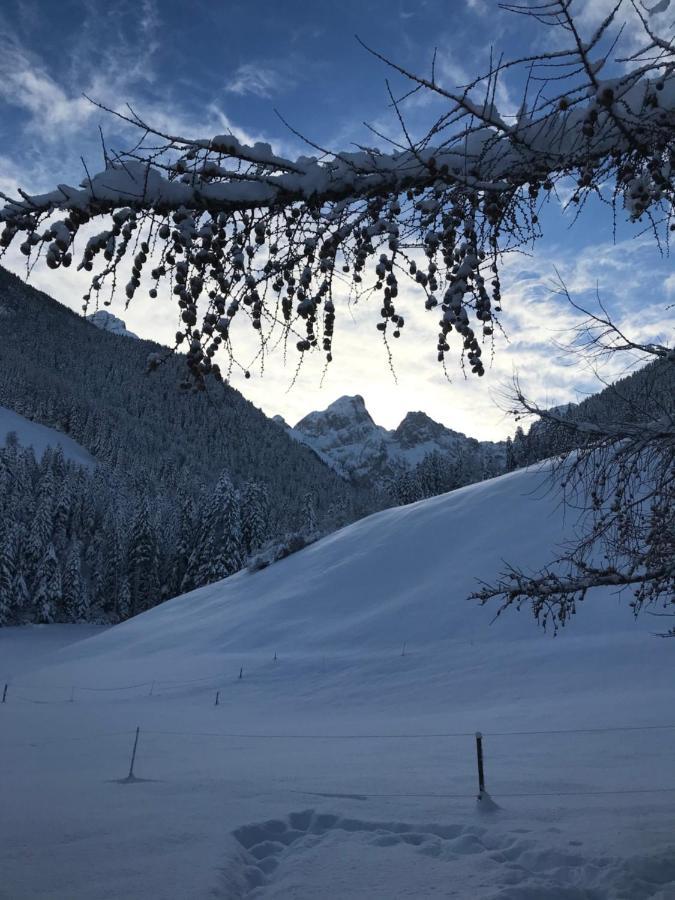 Au Pre Des Chevaux Bed & Breakfast Chateau-d'Oex Bagian luar foto