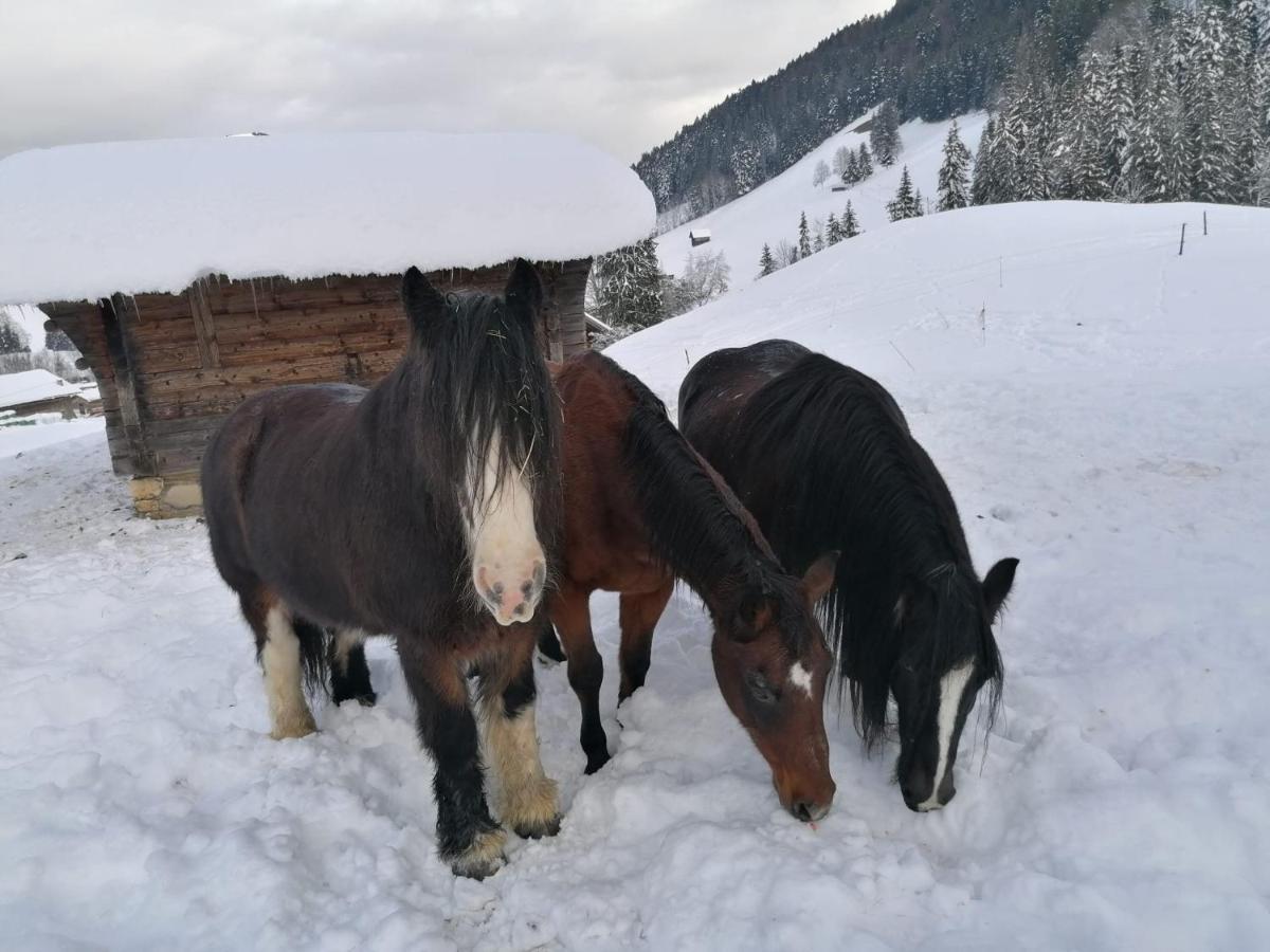 Au Pre Des Chevaux Bed & Breakfast Chateau-d'Oex Bagian luar foto