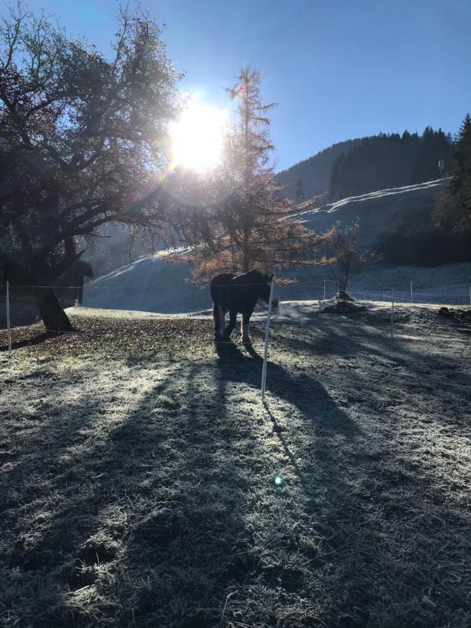Au Pre Des Chevaux Bed & Breakfast Chateau-d'Oex Bagian luar foto