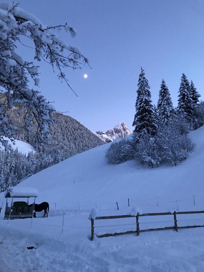 Au Pre Des Chevaux Bed & Breakfast Chateau-d'Oex Bagian luar foto