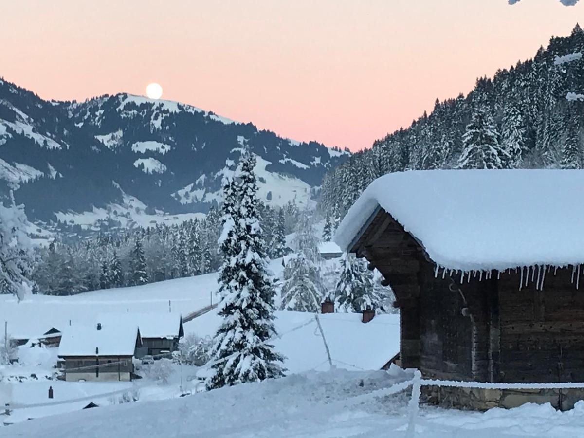 Au Pre Des Chevaux Bed & Breakfast Chateau-d'Oex Bagian luar foto