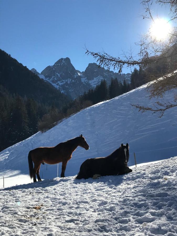 Au Pre Des Chevaux Bed & Breakfast Chateau-d'Oex Bagian luar foto