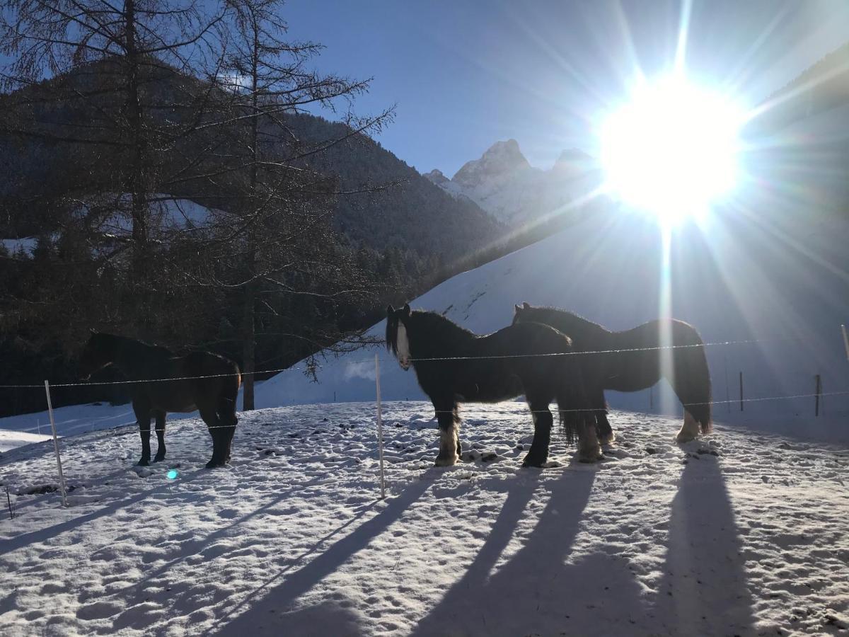 Au Pre Des Chevaux Bed & Breakfast Chateau-d'Oex Bagian luar foto