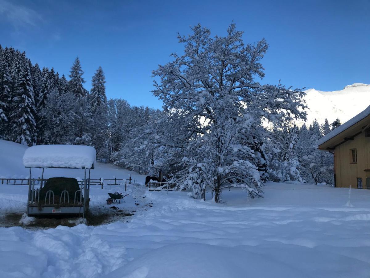 Au Pre Des Chevaux Bed & Breakfast Chateau-d'Oex Bagian luar foto