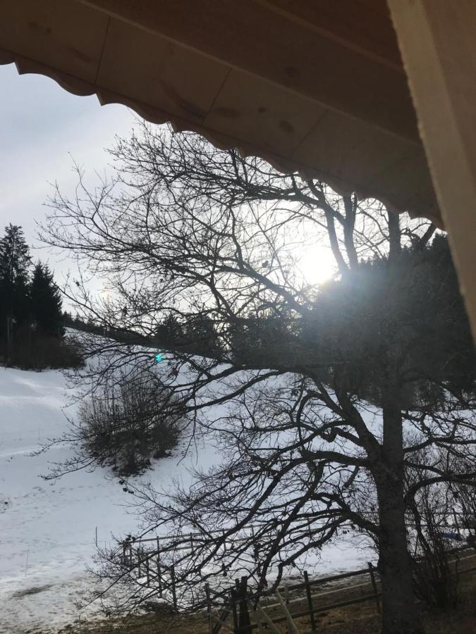 Au Pre Des Chevaux Bed & Breakfast Chateau-d'Oex Bagian luar foto