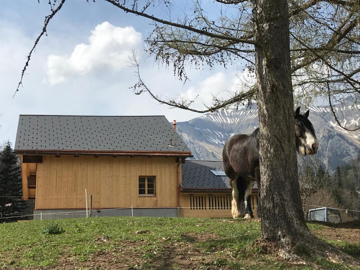 Au Pre Des Chevaux Bed & Breakfast Chateau-d'Oex Bagian luar foto