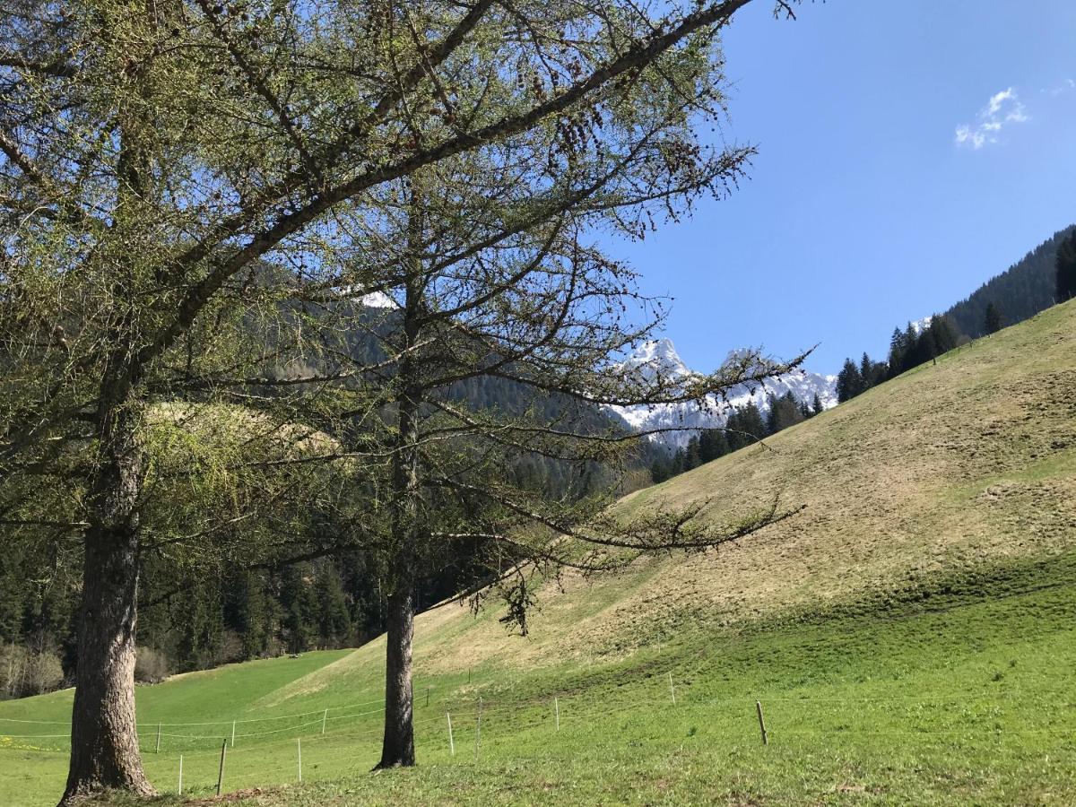 Au Pre Des Chevaux Bed & Breakfast Chateau-d'Oex Bagian luar foto